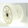 High Brightness 2835 smd led strip light waterproof 110V/220V